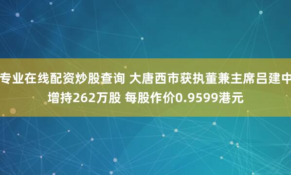 专业在线配资炒股查询 大唐西市获执董兼主席吕建中增持262万股 每股作价0.9599港元